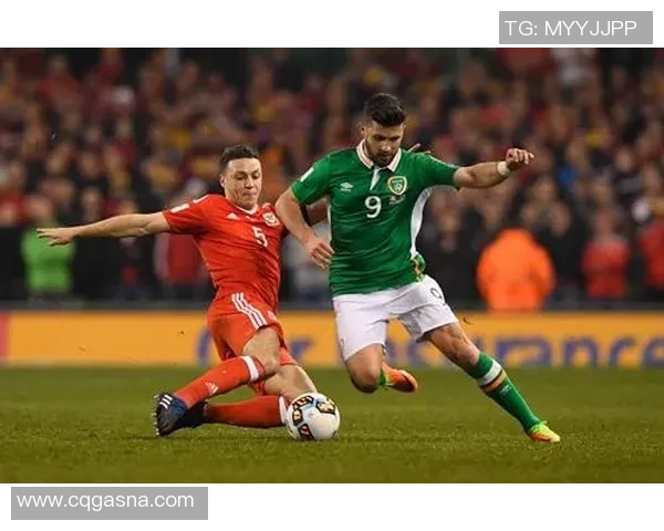 立陶宛与加拿大篮球对决前瞻分析及胜负预测