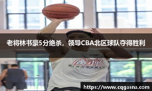 老将林书豪5分绝杀，领导CBA北区球队夺得胜利